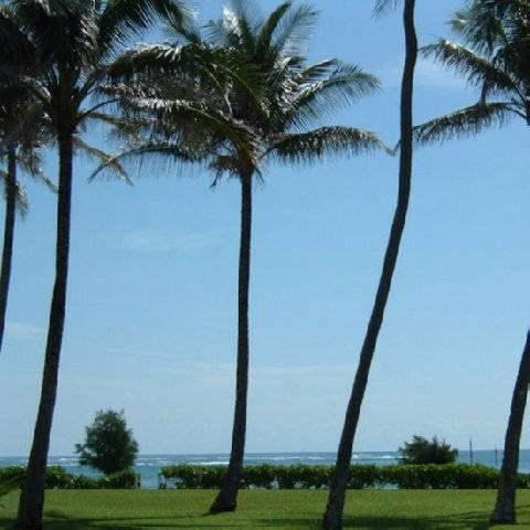 Fairway Villas Honolulu Eksteriør billede