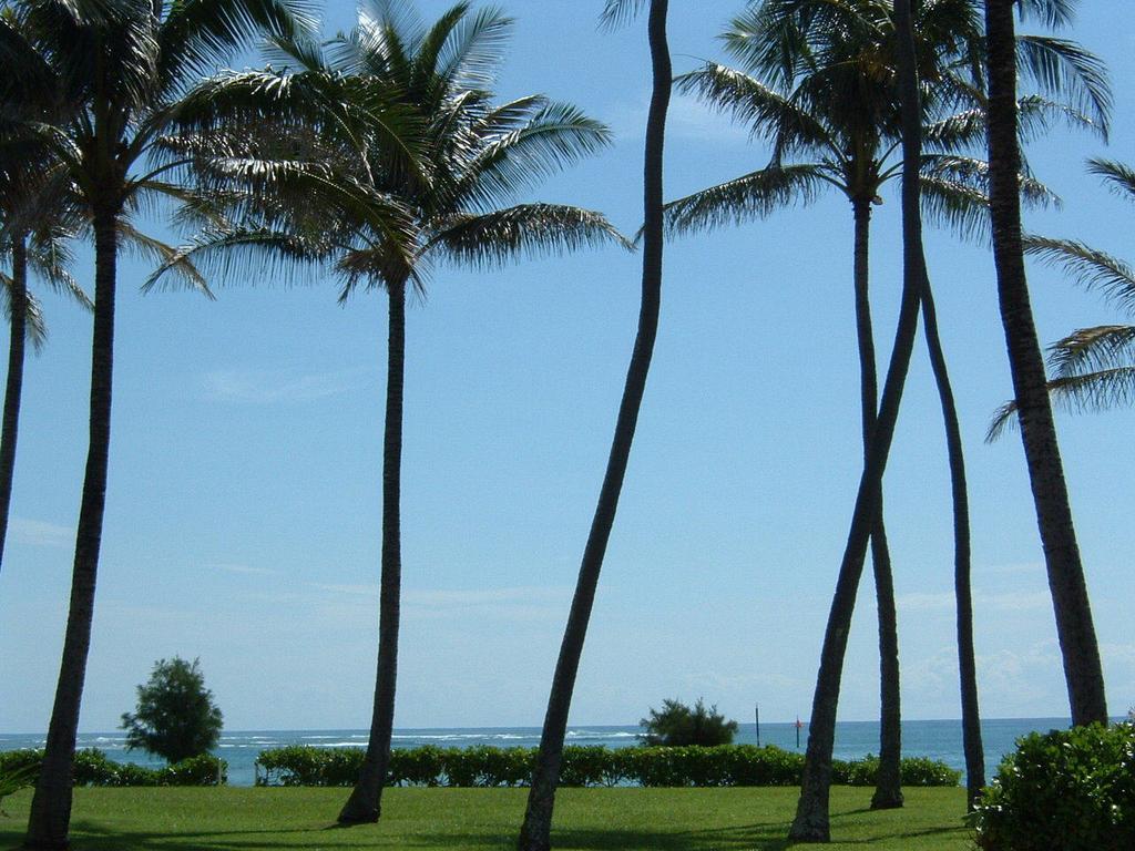 Fairway Villas Honolulu Eksteriør billede